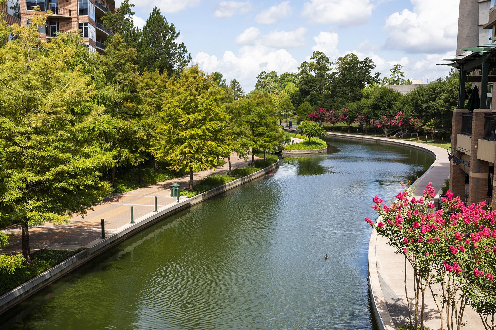 BEST OF Photo Journal of The Woodlands Waterway The Woodlands