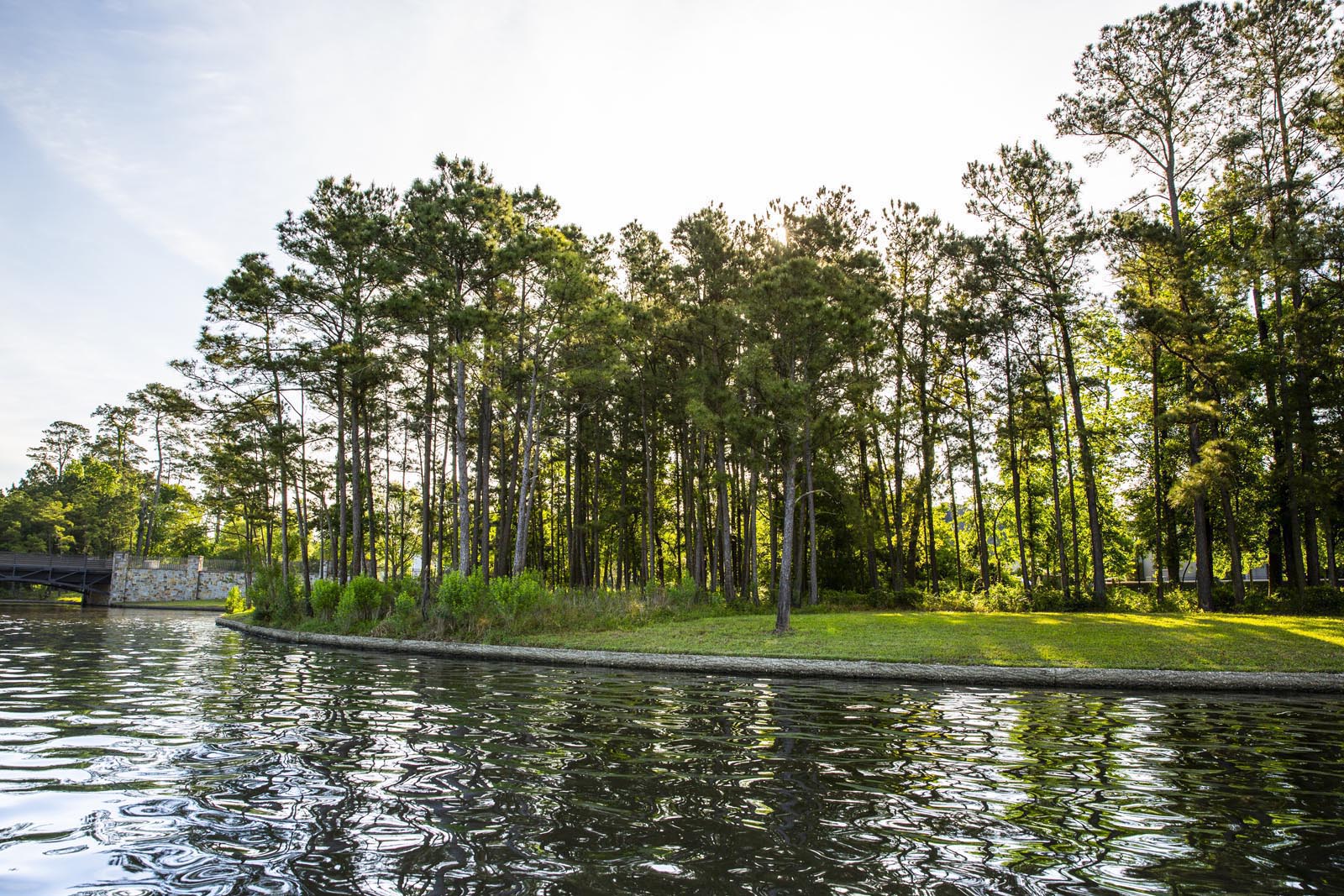 Wellness in The Woodlands The Woodlands