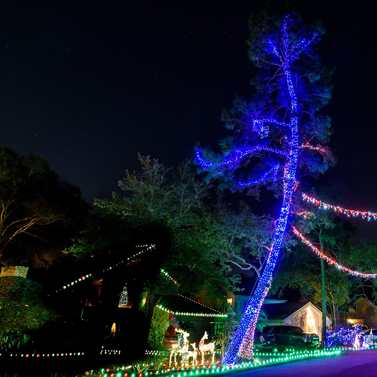 Legacy of the Tangle Brush Holiday Lights The Woodlands