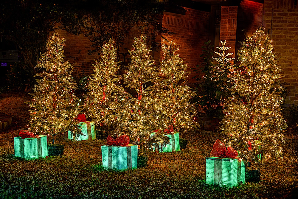 Legacy of the Tangle Brush Holiday Lights The Woodlands