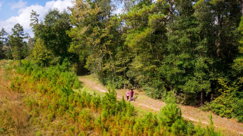 Miles of Trails in The Woodlands