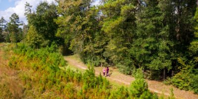 Miles of Trails in The Woodlands