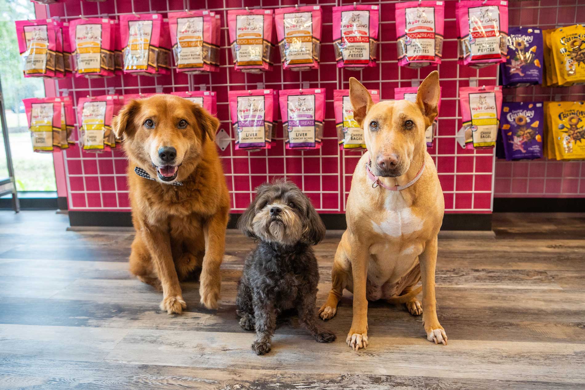 Woof Gang Bakery & Grooming Now Open in Creekside Park in The Woodlands