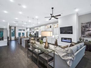 Darling Model Home East Shore