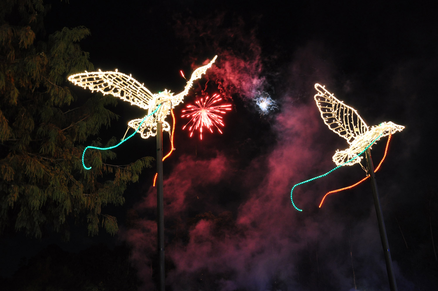 The Lighting of the Doves is a Woodlands holiday tradition like no other.