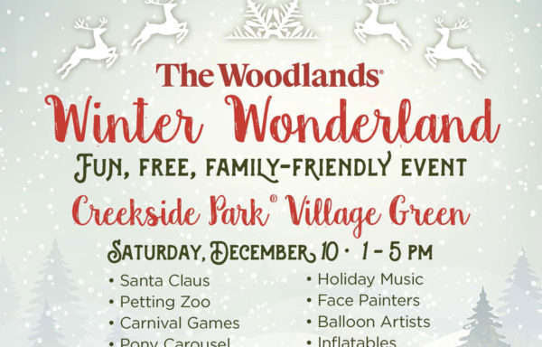 The Woodlands Winter Wonderland 2022