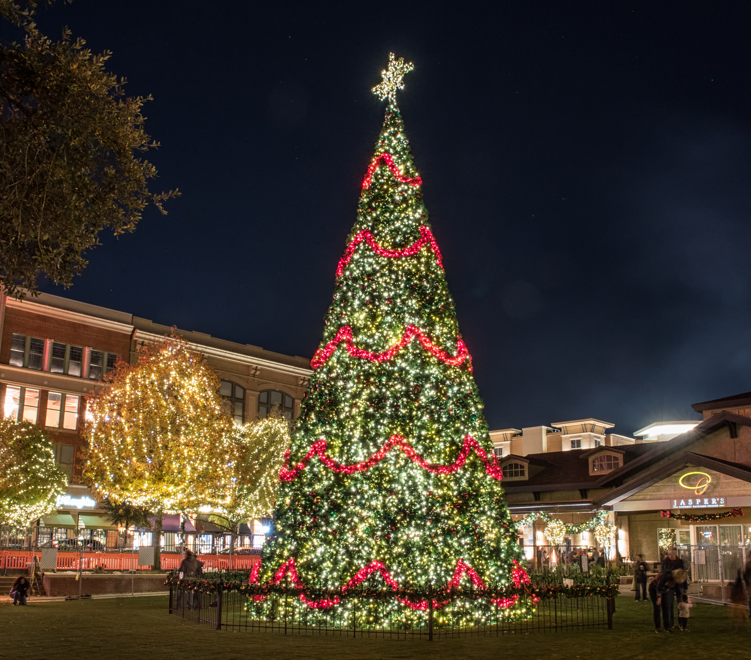 Market Street's massive Christmas tree is a holiday tradition in The Woodlands.