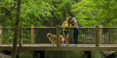 The Woodlands, Tamarac Park